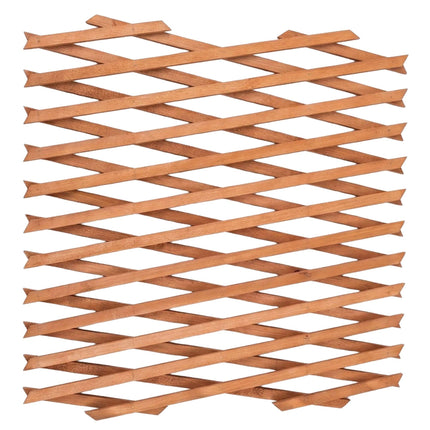 Wall-Mounted Plant Trellis Set, 3-Piece Extendable Wood