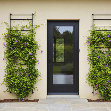 Wall-Mounted Steel Trellis for Climbing Plants, 210 x 76 cm, Black