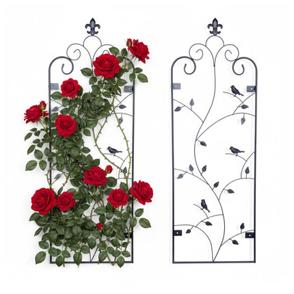 Wall Trellis Set, 2-Pack Powder-Coated Steel Climber