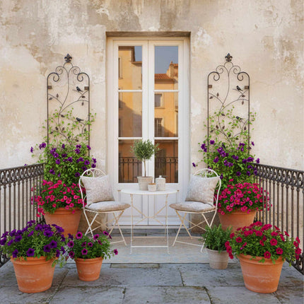 Wall Trellis Set, 2-Pack Powder-Coated Steel Climber