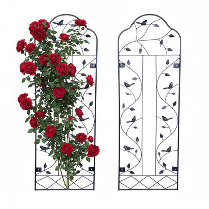 Wall Trellis Set, 2-Pack Powder-Coated Steel for Vines