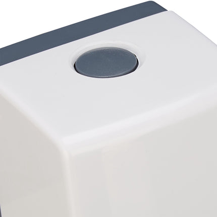 Wall mounted soap pump in a set of 2