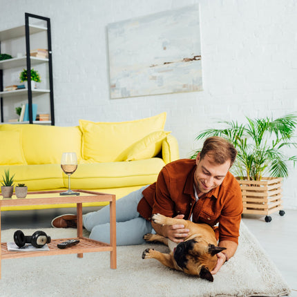 Nussbaum-Couchtisch mit Glasplatte, 2 Ablagen
