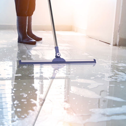 Water scraper with telescopic handle