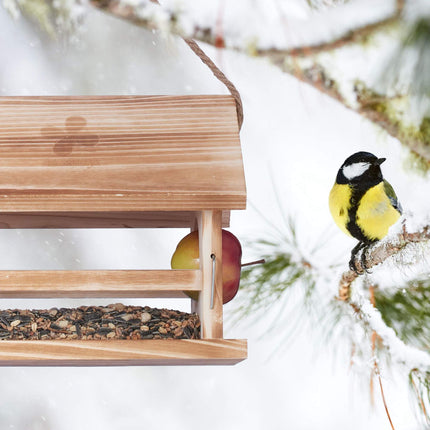 Weatherproof bird feeder