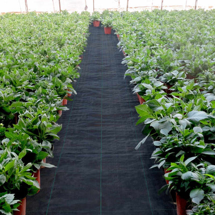 Weed Barrier Landscape Fabric, PP Woven, 6 x 250 Ft