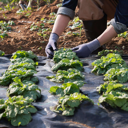 Weed Barrier Landscape Fabric, Woven PP 3.28 x 164 ft
