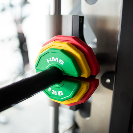 Hantelscheibe 2 x 0,5 kg für das Krafttraining