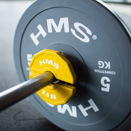 Hantelscheibe 2 x 0,5 kg für das Krafttraining