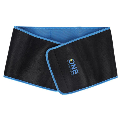 Weighted Violet Hula Hoop with Waist Support