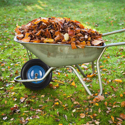 Wheelbarrow Wheel with Blue Rim & Axle