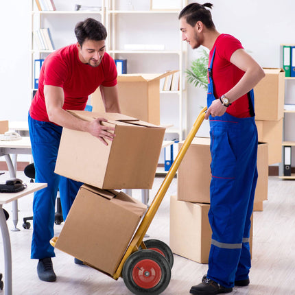 Wheel barrow air 4.80 4.00-8 + axle