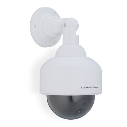 White camera dummy dome shape