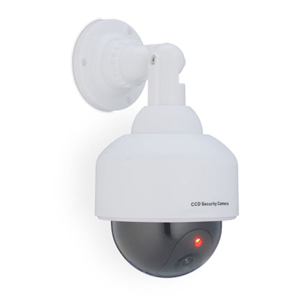 White camera dummy dome shape