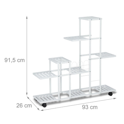 Weißer Blütenstand mit Rädern