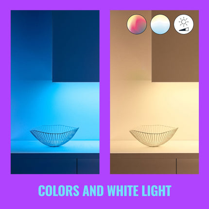 Rallonge de bande LED WiFi 1 m 880 lm