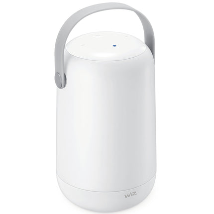 Tragbare WiFi-Lampe