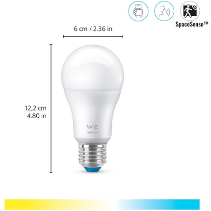 WiFi Smart LED E27 60W 806lm Warm-cool white 2-pack