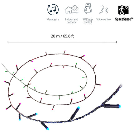 WiFi Smart LED Lichterkette Lichterkette