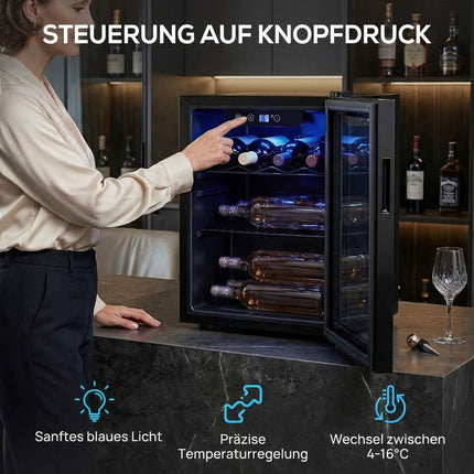 Wine Cooler 16 Bottles 48 L with Glass Door and LED Light, 4-16°C, Black