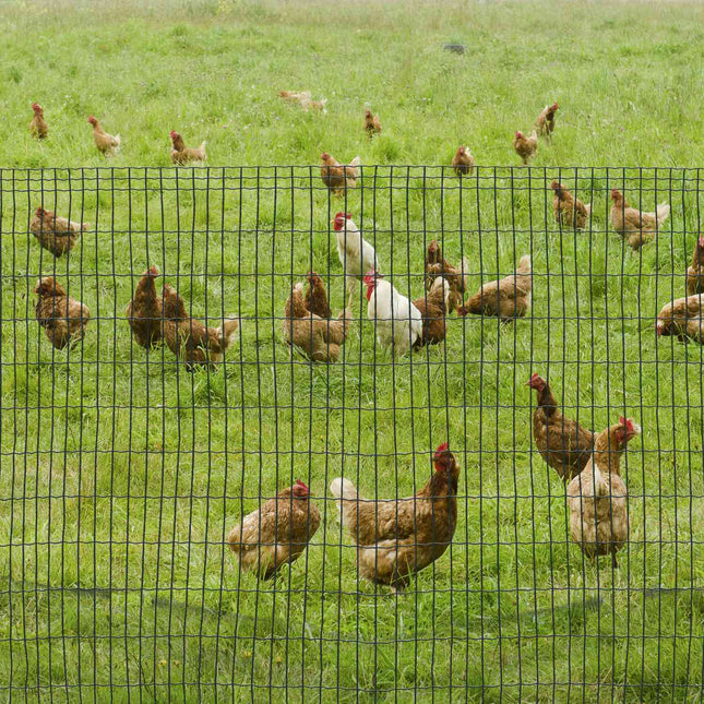 Dark Green Garden Fencing Roll 10 x 1.22 M - Pet and Poultry Fence
