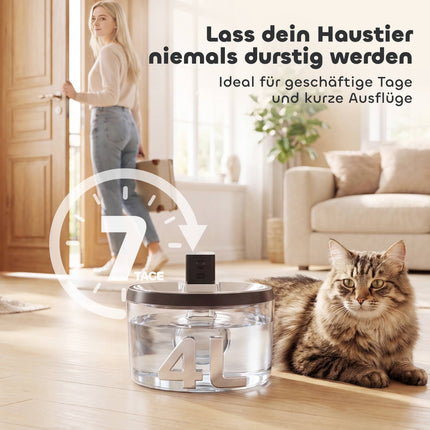 Kabelloser Katzenbrunnen aus Edelstahl, 4L, Bewegungssensor