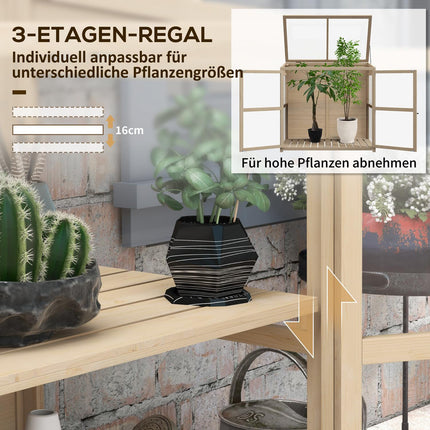 Gewächshaus mit 2-stöckigem Holzkaltrahmen mit Oberlicht