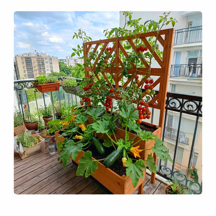 Wooden Two-Tier Raised Planter With Trellis, Drainage