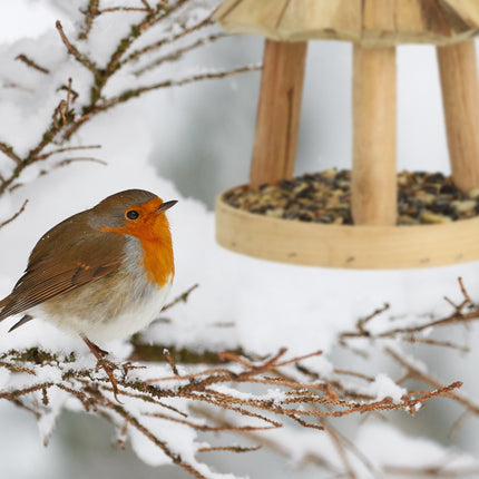 Wooden bird feeder