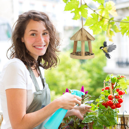 Wooden bird feeder