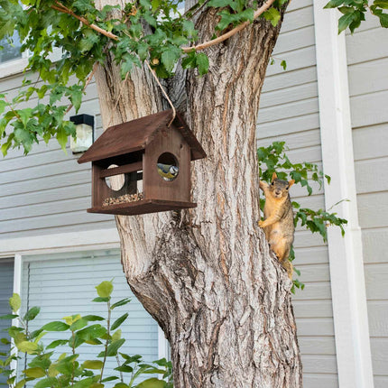 Wooden bird feeder