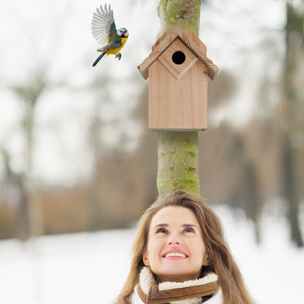 Wooden birdhouse