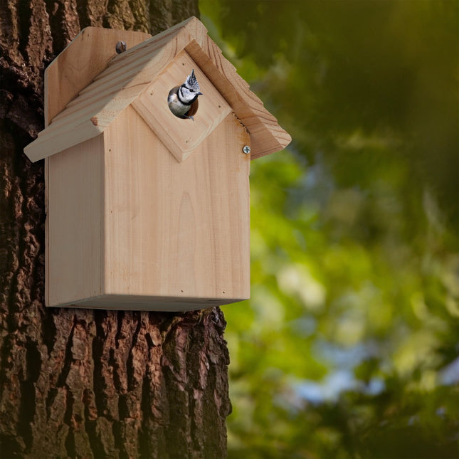 Wooden birdhouse