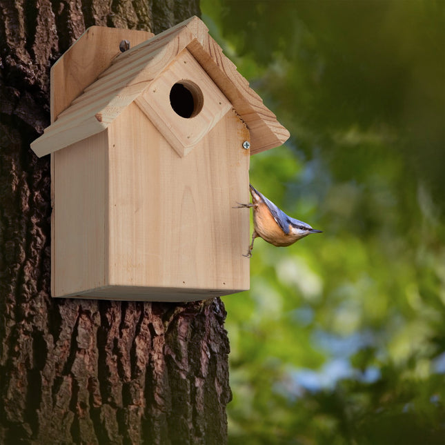 Wooden birdhouse