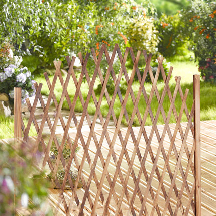 Support d'escalade en bois, extensible