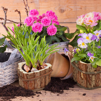 Blumenkasten aus Holz - 3er-Set