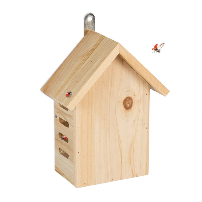 Wooden ladybug house