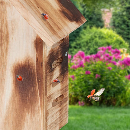 Wooden ladybug house