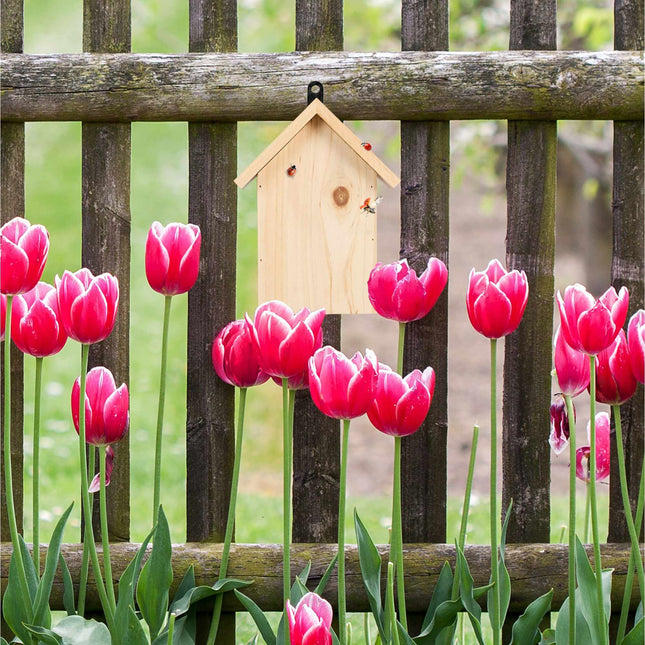 Wooden ladybug house