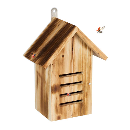 Marienkäferhaus aus Holz mit Flammen