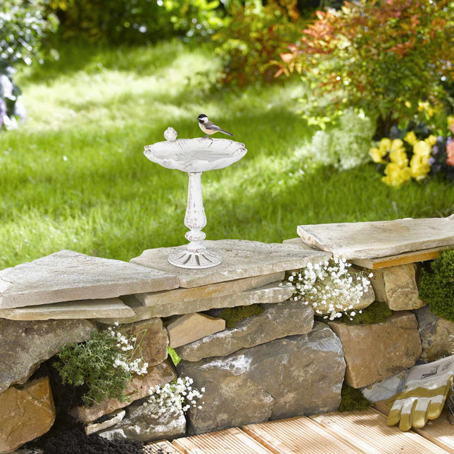 XL Bird bath in cast iron