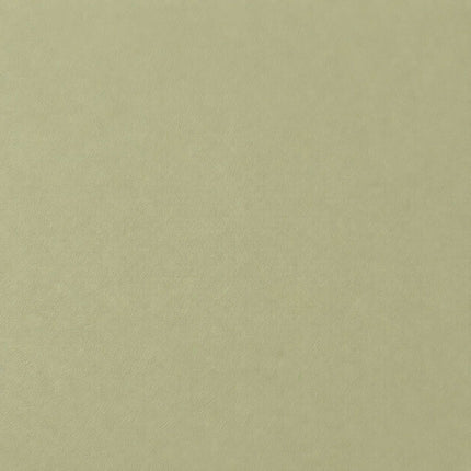 Yoga and Pilates Mat 5 mm with Carrying Strap, 68 x 183 cm, Sage Green