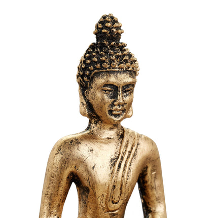 Zen garden with Buddha
