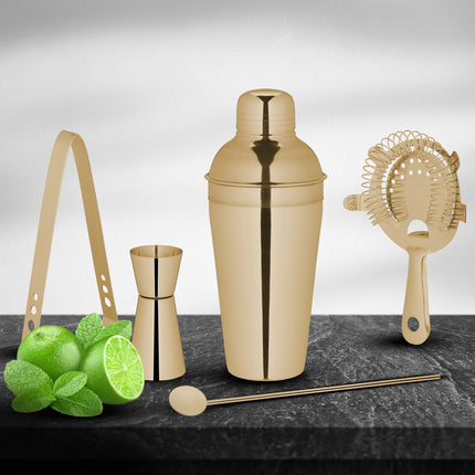 cocktail shaker set in 5 parts