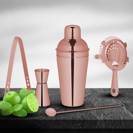 ensemble shaker à cocktail en 5 parties