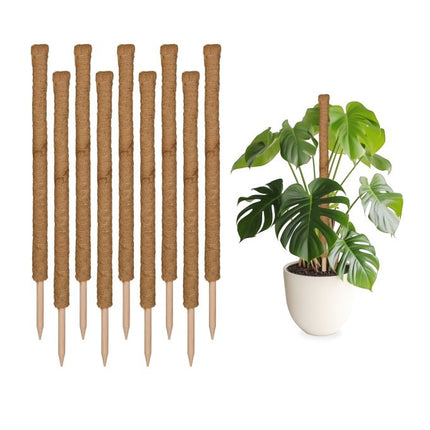 set of 10 coconut sticks 90 cm