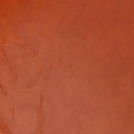set of 2 cushions in leather look