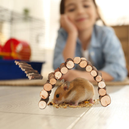 sada 2 dřevěných můstků pro hlodavce 2 velikosti