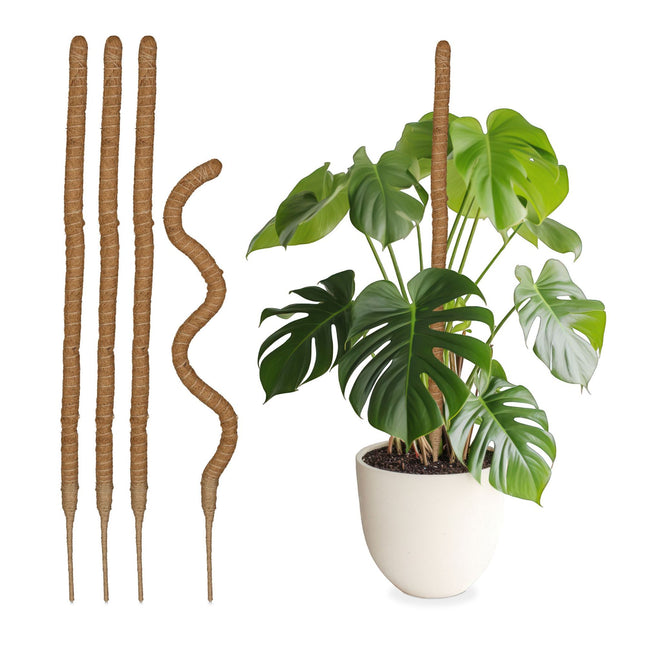 5er Set Kokosstäbe 90 cm